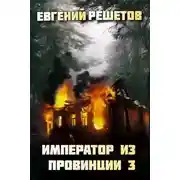 Постер книги Император из провинции 3