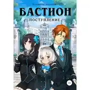 Постер книги Бастион: поступление