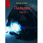 Постер книги Паладин. Том 3