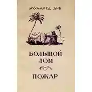 Постер книги Большой дом. Пожар