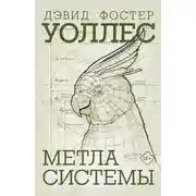 Постер книги Метла системы