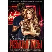 Постер книги Разбитые грёзы. Книга 2