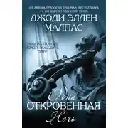 Постер книги Одна откровенная ночь