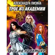 Постер книги Трое на практике