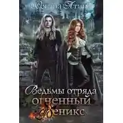 Постер книги Ведьмы отряда Огненный Феникс