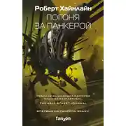 Постер книги Погоня за панкерой
