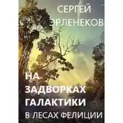 Постер книги В лесах Фелиции