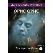 Постер книги Мытарства Души