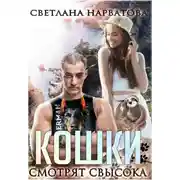 Постер книги Кошки смотрят свысока
