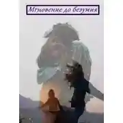 Постер книги Мгновение до безумия