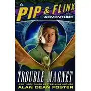 Постер книги Магнит неприятностей