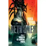 Постер книги Колдун со Змеева моря