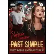 Постер книги Past simple