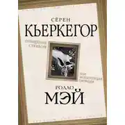 Постер книги Очищение страхом или Экзистенция свободы