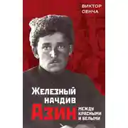 Постер книги Железный начдив Азин. Между красными и белыми