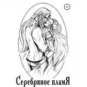 Постер книги Серебряное пламя