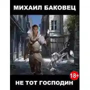 Постер книги Не тот господин