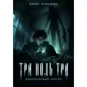 Постер книги Три ноль три