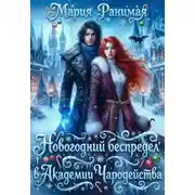 Постер книги Новогодний беспредел в Академии Чародейства