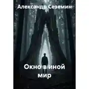 Постер книги Окно в иной мир