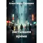 Постер книги Застывшее время