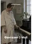 Дмитрий Штурман - Фантазия C-Moll