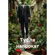 Постер книги Туфля напрокат