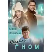 Постер книги Седьмой гном