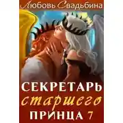 Постер книги Секретарь старшего принца 7