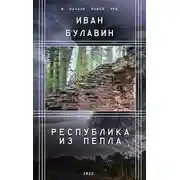 Постер книги Республика из пепла