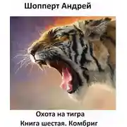 Постер книги Комбриг