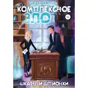 Постер книги Комплексное ЗЛО. Шкафы и Шпионки