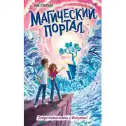 Постер книги Магический портал