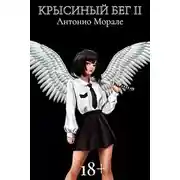 Постер книги Крысиный бег II