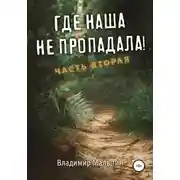 Постер книги Где наша не пропадала 2