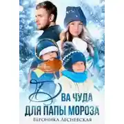 Постер книги Два чуда для Папы Мороза