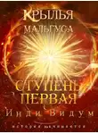 Инди Видум - Ступень первая