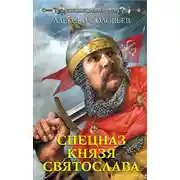 Постер книги Спецназ князя Святослава