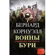 Постер книги Воины бури
