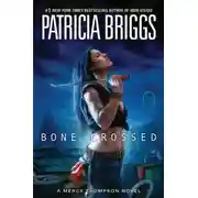 Постер книги СКРЕЩЕННЫЕ КОСТЯМИ