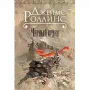 Постер книги Черный орден