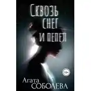 Постер книги Сквозь снег и пепел