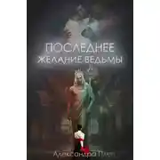 Постер книги Последнее желание ведьмы