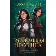 Постер книги Разорванная паутина
