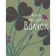 Постер книги Волчок