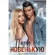 Постер книги Пари на новенькую