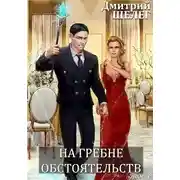 Постер книги На гребне обстоятельств