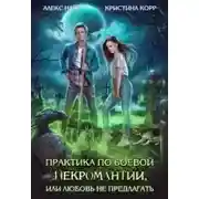 Постер книги Практика по боевой некромантии, или Любовь не предлагать