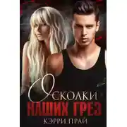 Постер книги Осколки наших грез