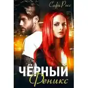 Постер книги Чёрный феникс